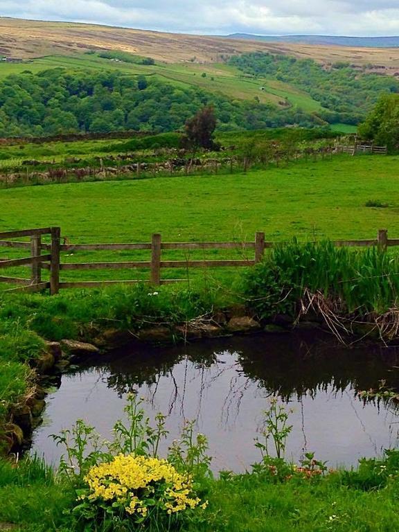 Far Moorside Farm B&B Hebden Bridge Kültér fotó